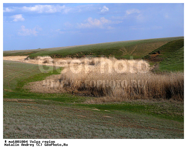 ������������� ���, ������ ��������, ���������, ������������ �����, ������ ������, ���������, ������������ �������, �����, ������