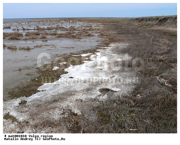 ������������� ���, ������ ��������, ���������, ����� ������, ������������ �����, ��������� ���� ����������, ���������, �����, ������