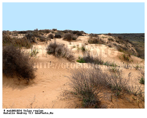 ������������ ���, ������ ��������, �������, ���������, ������������� �����, �����������, ���. ������