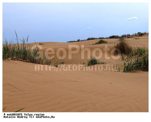 ������������ ���, ������ ��������, �������, ���������, ������������� �����, �����������, ���. ������