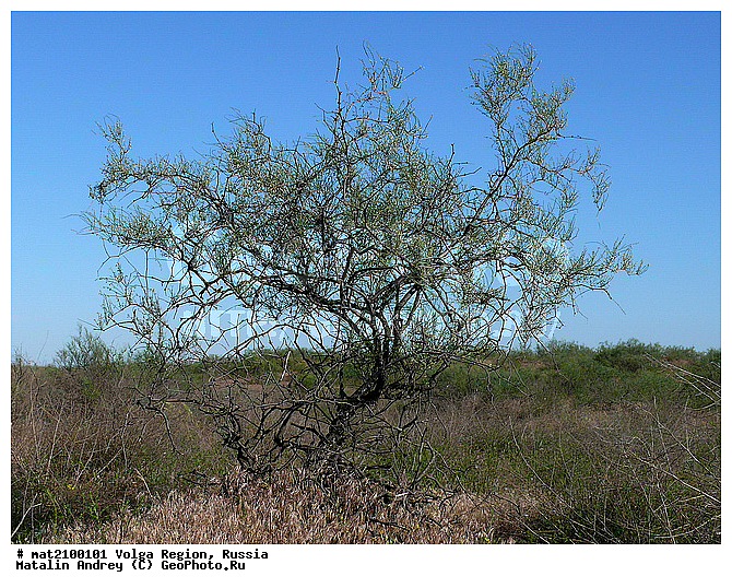 �@�������p���p�~���{�p�� ���q�|, �N�y�w�~�u�u �P���r���|�w���u, �Q�������y��, �q�p�����p�~��, �t�w���x�s���~, �|�p�~�t���p������, �����|�������������~��, ������. �D�����p�~�s