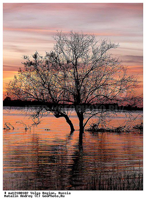 �@�������p���p�~���{�p�� ���q�|, �@�������q�p, �N�y�w�~�u�u �P���r���|�w���u, �Q�������y��, �x�p�{�p��, �|�p�~�t���p������, �����|�������������~��, ������. �D�����p�~�s