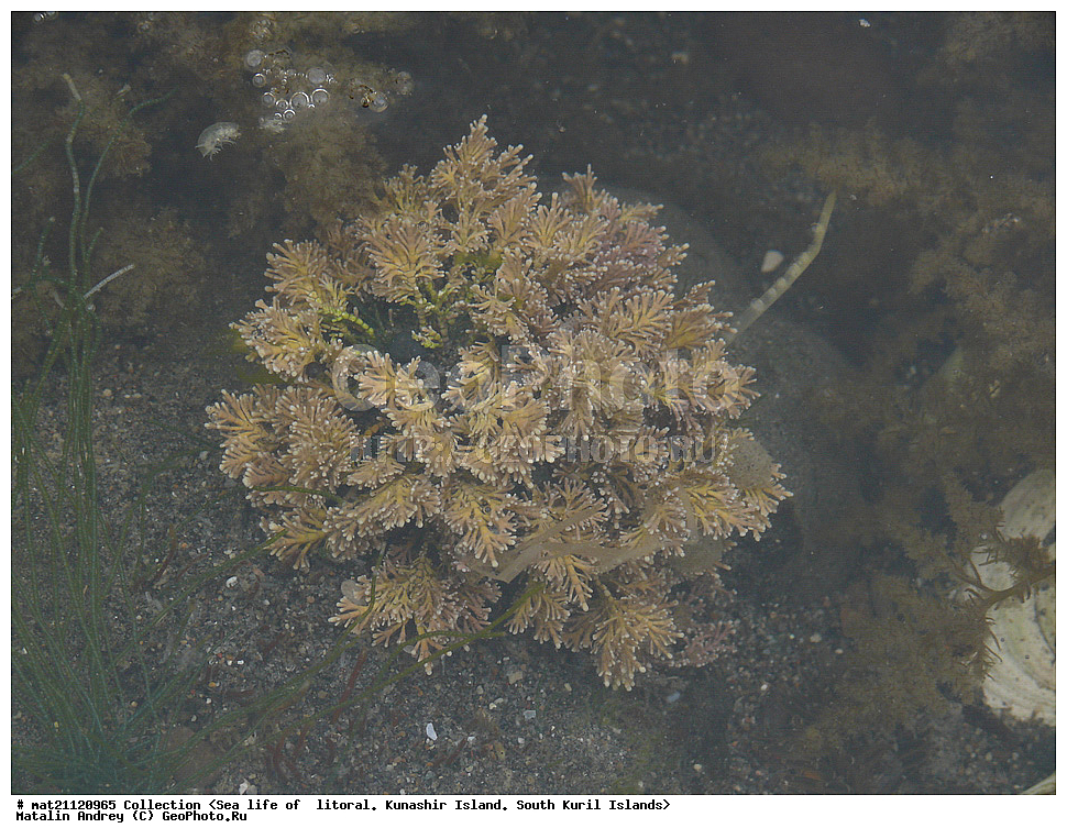  ������, ����� ������, �������, ����, �������, ����, ��������, ������� ��������, ����� ����, 