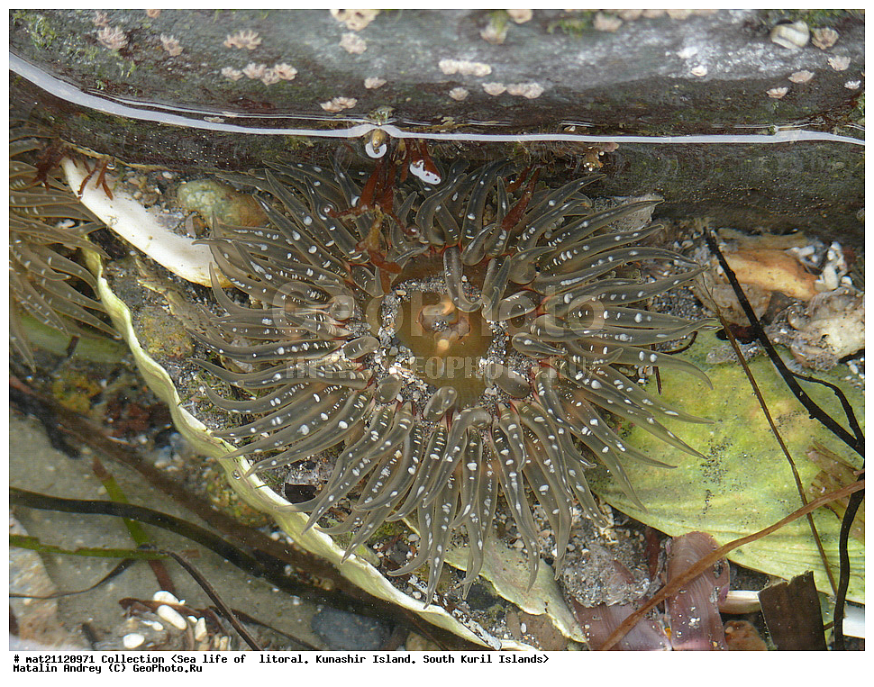  ������, ����� ������, �������, ����, �������, ����, ��������, ������� ��������, ����� ����, 