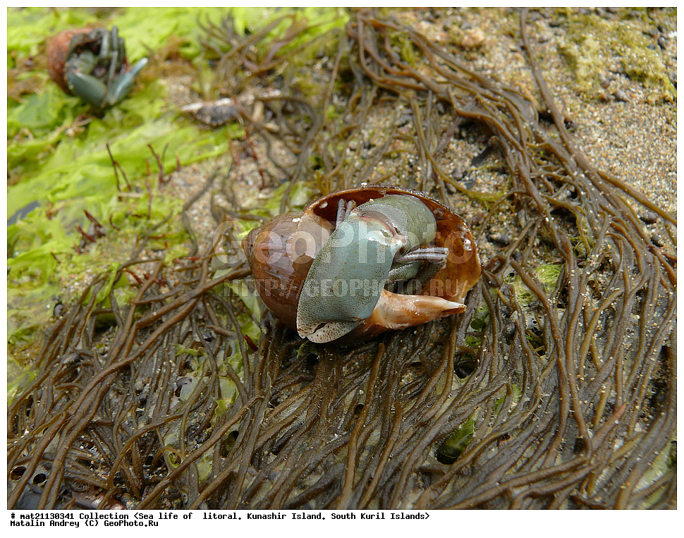  ������, ����� ������, �������, ����, �������, ����, ��������, ������� ��������, ����� ����, 