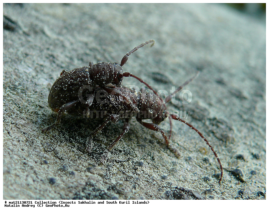 ���������, �������������, ������, ����� ������, �������, ����, �������, ���������������, ��������������, �������������, ��������������