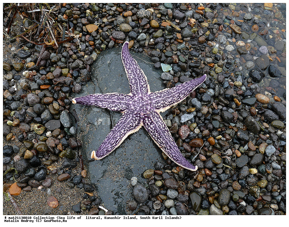  ������, ����� ������, �������, ����, �������, ����, ��������, ������� ��������, ����� ����, 