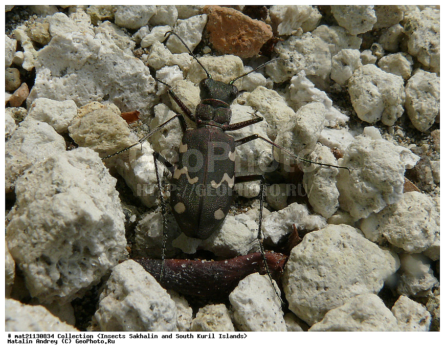 ���������, �������������, ������, ����� ������, �������, ����, �������, ���������������, ��������������, �������������, ��������������