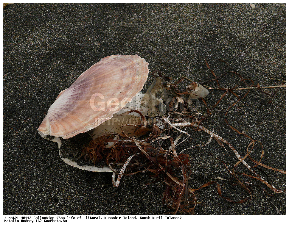  ������, ����� ������, �������, ����, �������, ����, ��������, ������� ��������, ����� ����, 