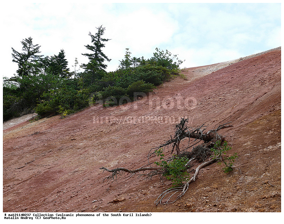  ������, ����� ������, �������, ����, �������, ���������