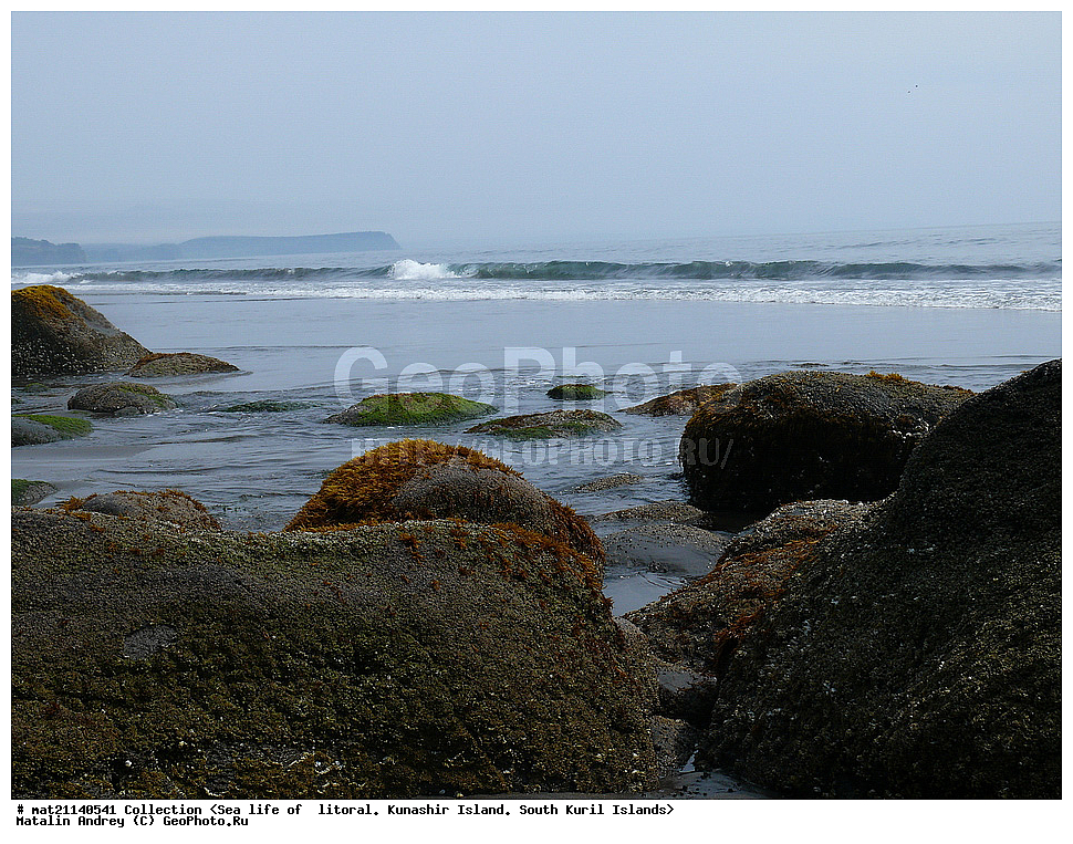  ������, ����� ������, �������, ����, �������, ����, ��������, ������� ��������, ����� ����, 