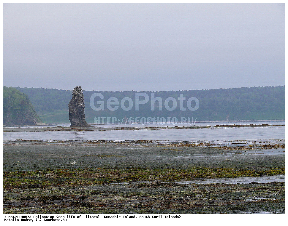  ������, ����� ������, �������, ����, �������, ����, ��������, ������� ��������, ����� ����, 