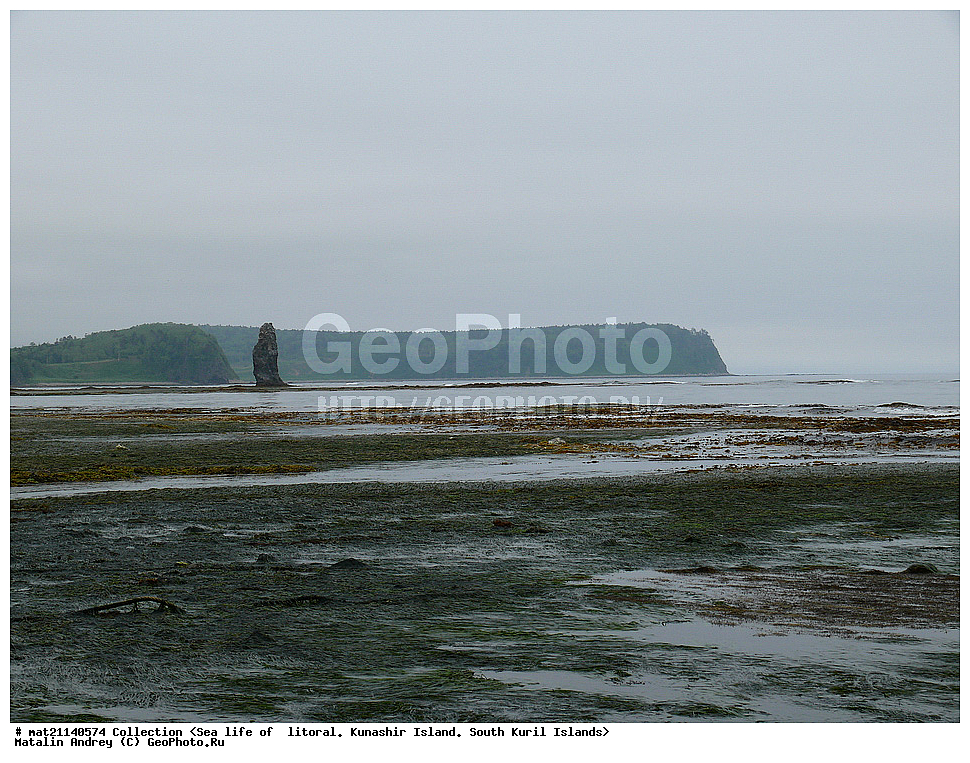  ������, ����� ������, �������, ����, �������, ����, ��������, ������� ��������, ����� ����, 