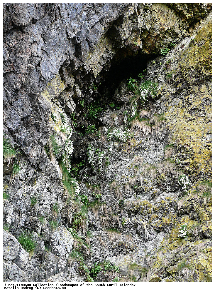 ������, ����� ������, �������, ����, �������, ��������