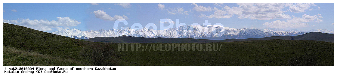 ��������� ������, �������, ����� ���������