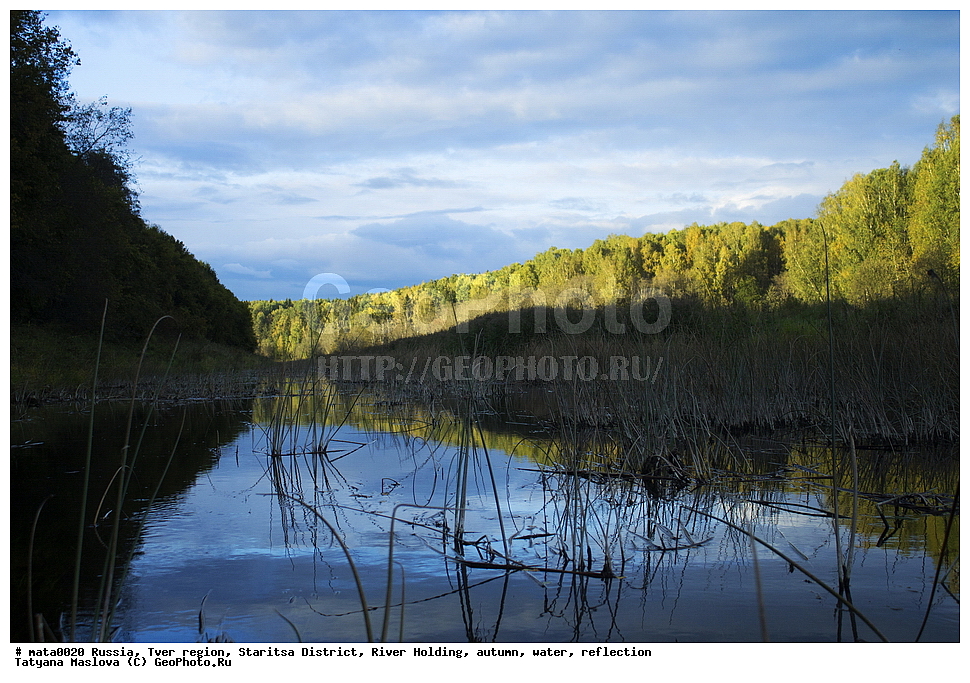 ������, �������� �������, ��������� �����, ���� �����, �����, ����, ���������, ���������, ������, ���, ������