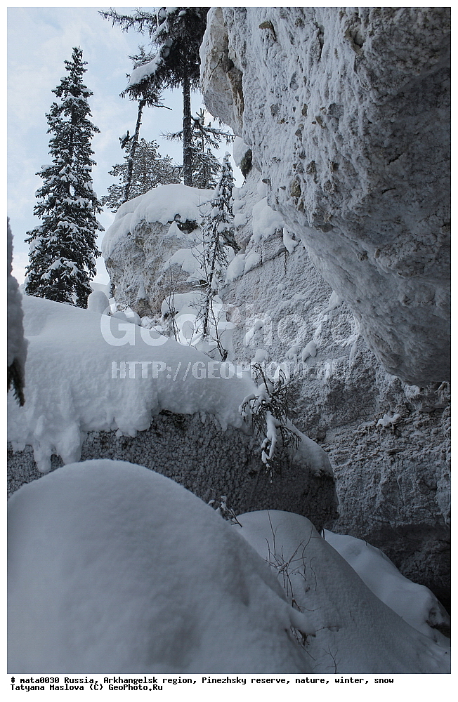 ������, ������������� �������, ��������� ����������, ����������, ����, ����, �����, �����, �������, ���, ����