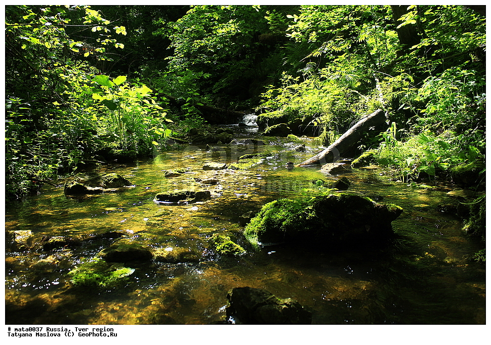 ������, �������� �������, �����, ����, �������, �������, �����, ���, ������, ���������, �������