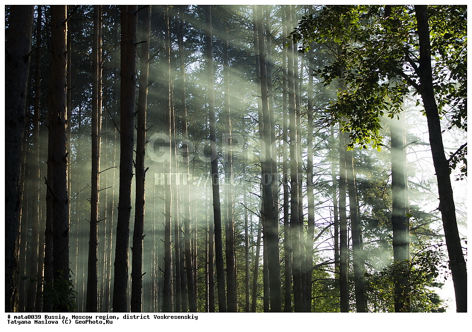 ������, ���������� �������, ������������� �����, ���, �����, ����, �������, ������ 