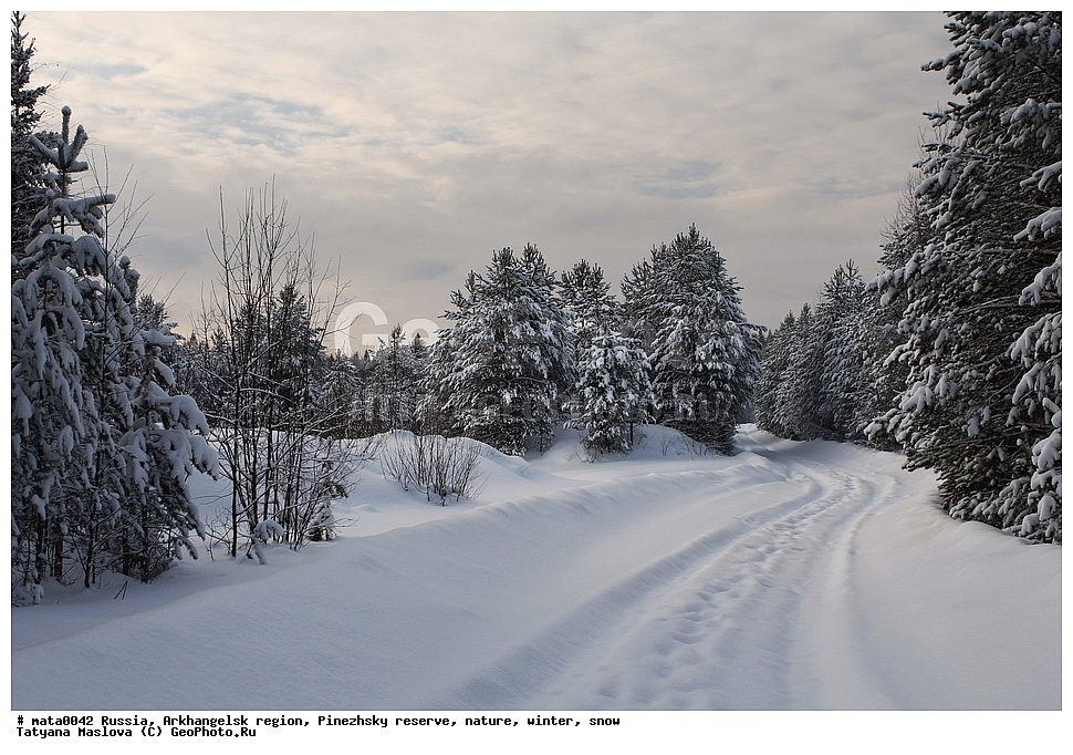 ������, ������������� �������, ��������� ����������, ����������, ����, ����, ������, ���, �������, ����, �������