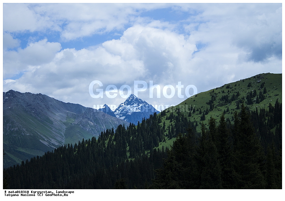 ��������, ������, ����, ������, ����, ������, �������, ���