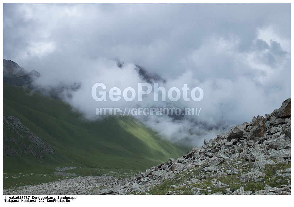 ��������, ������, ����, ������, �����, ��������