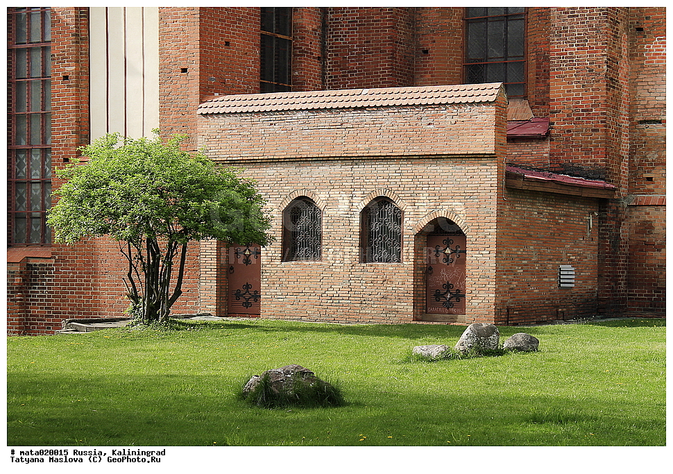 ������, �����������