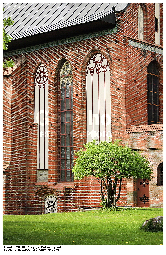 ������, �����������