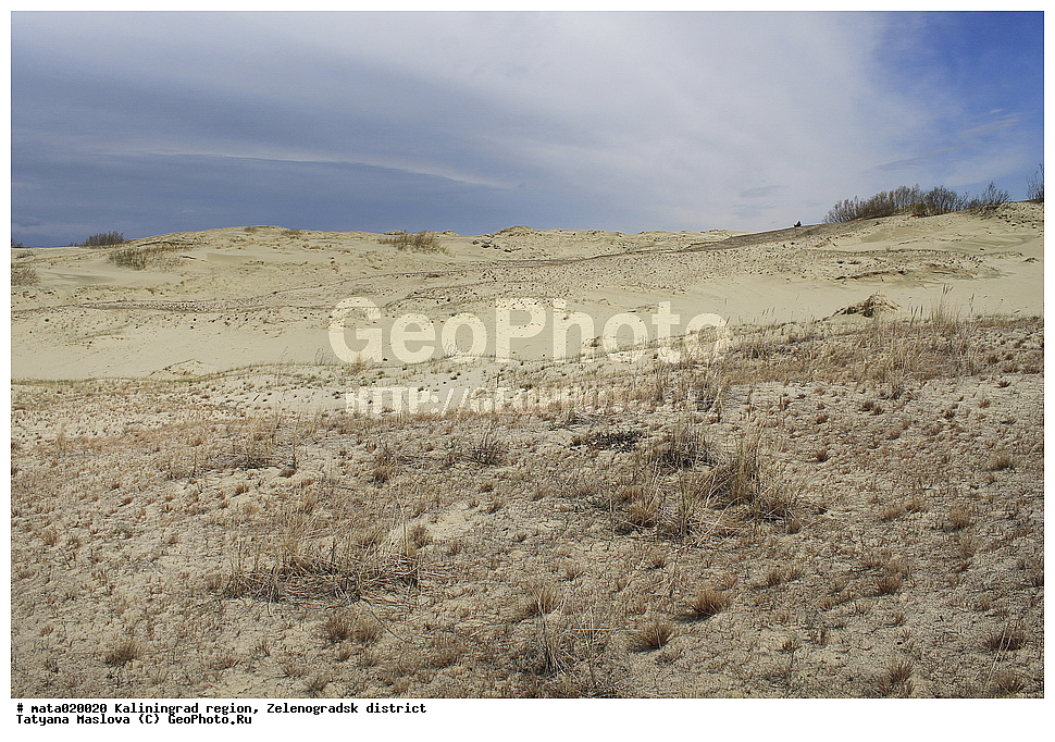 ������, ��������������� �������, �������������� �����, ������