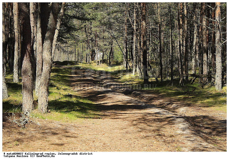 ������, ��������������� �������, �������������� �����, ������