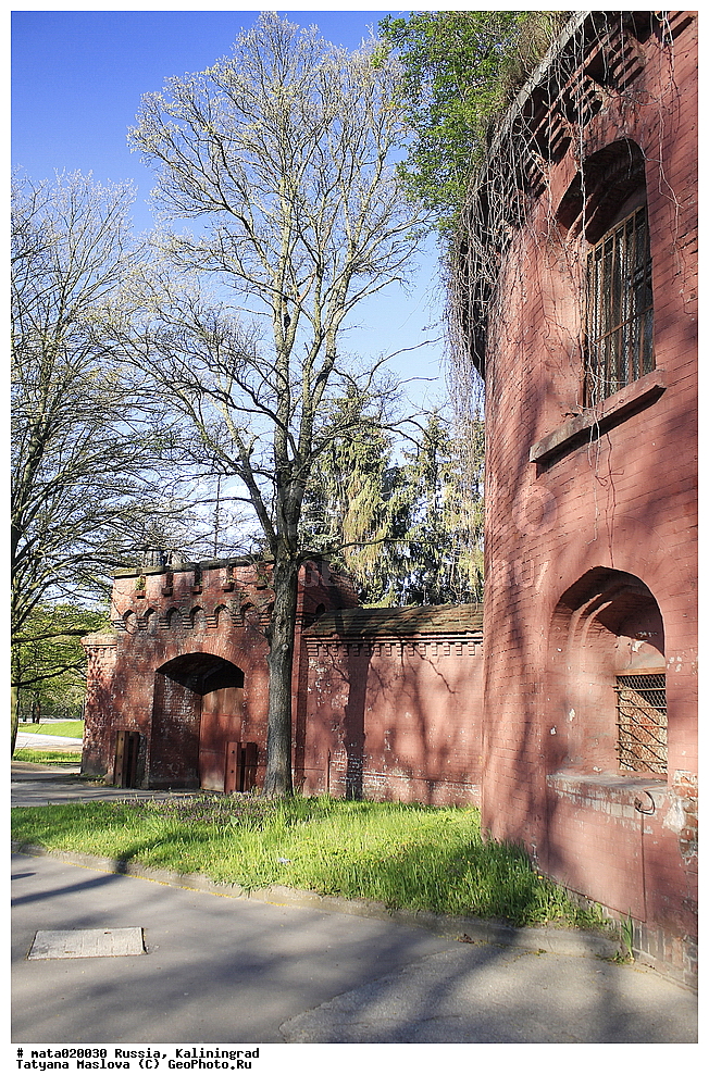 ������, �����������