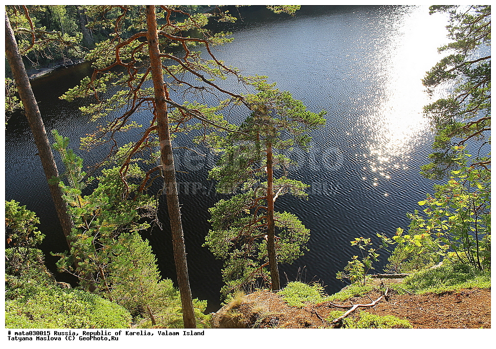 ������, ���������� �������, �������, ������, ������ ������, ������