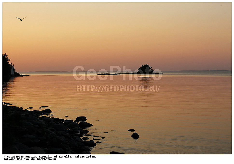 ������, ���������� �������, �������, ������, ������ ������, ������