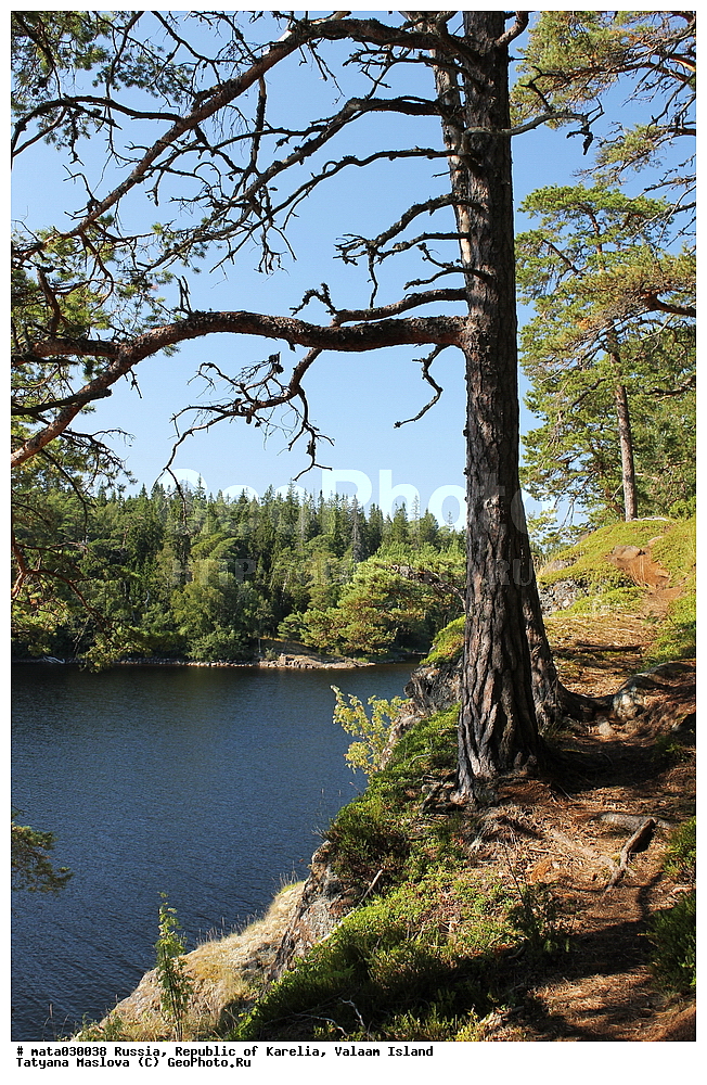 ������, ���������� �������, �������, ������, ������ ������, ������