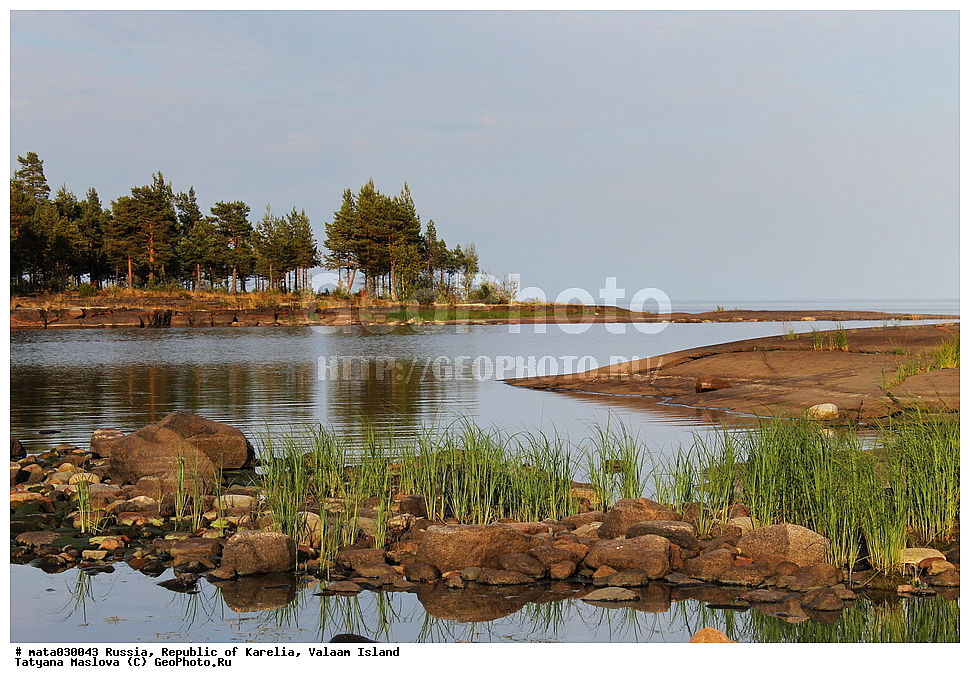 ������, ���������� �������, �������, ������, ������ ������, ������