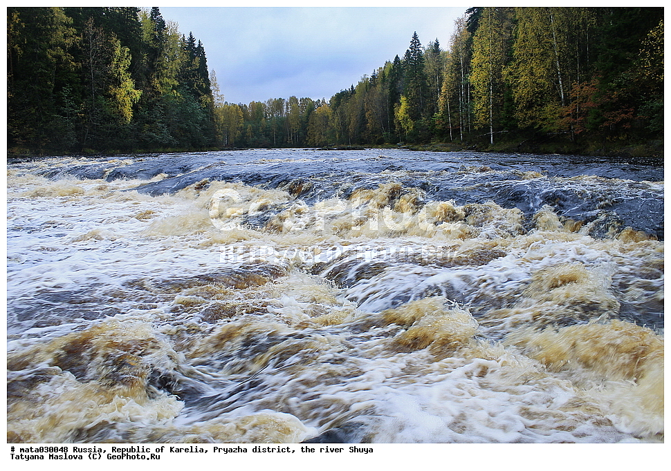 ������, ���������� �������, �������, ���������� �����, ����, ���