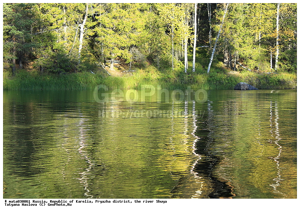 ������, ���������� �������, �������, ���������� �����, ����, ���