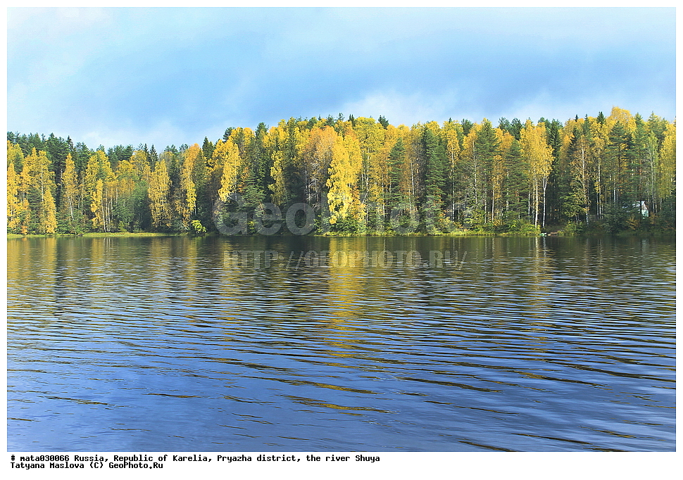 ������, ���������� �������, �������, ���������� �����, ����, ���