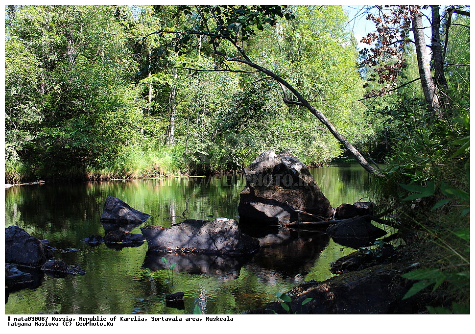 ������, ���������� �������, �������, ������������� �����, ��������, ������