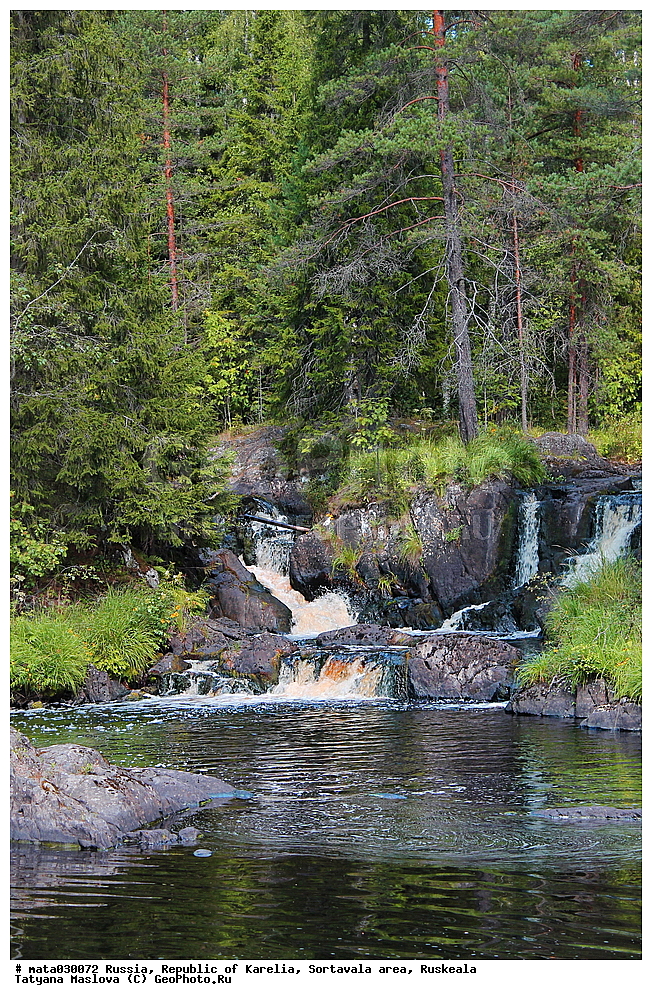 ������, ���������� �������, �������, ������������� �����, ��������, ������