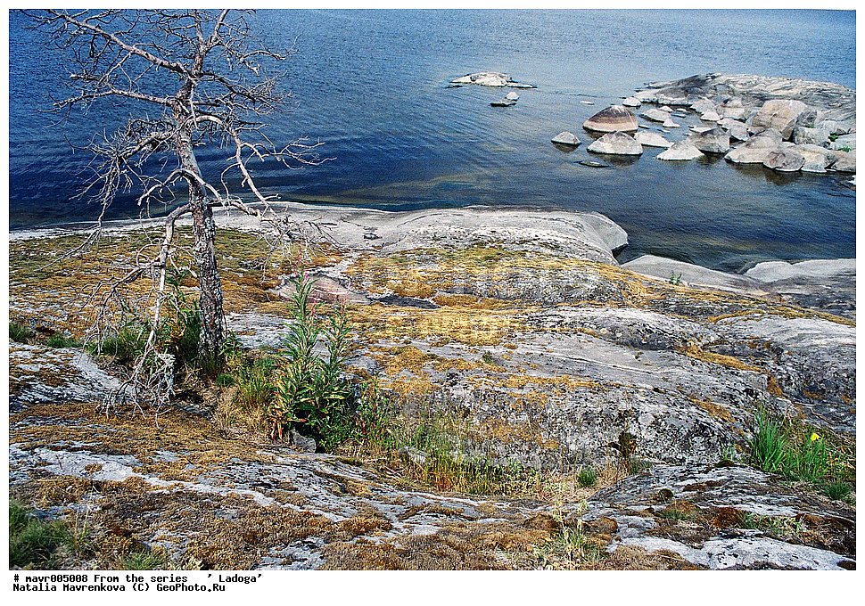 ������, �������, �����