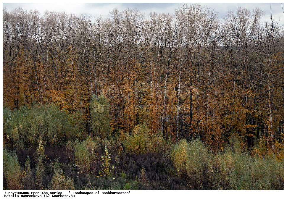  ��������, ������������, �����, �������