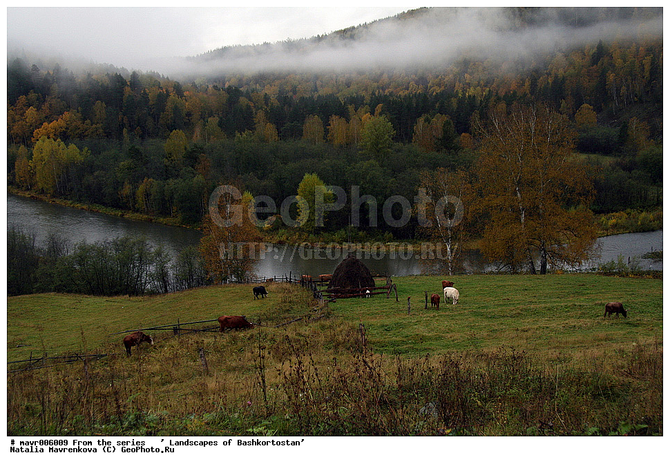  ��������, ������������, �����, �������