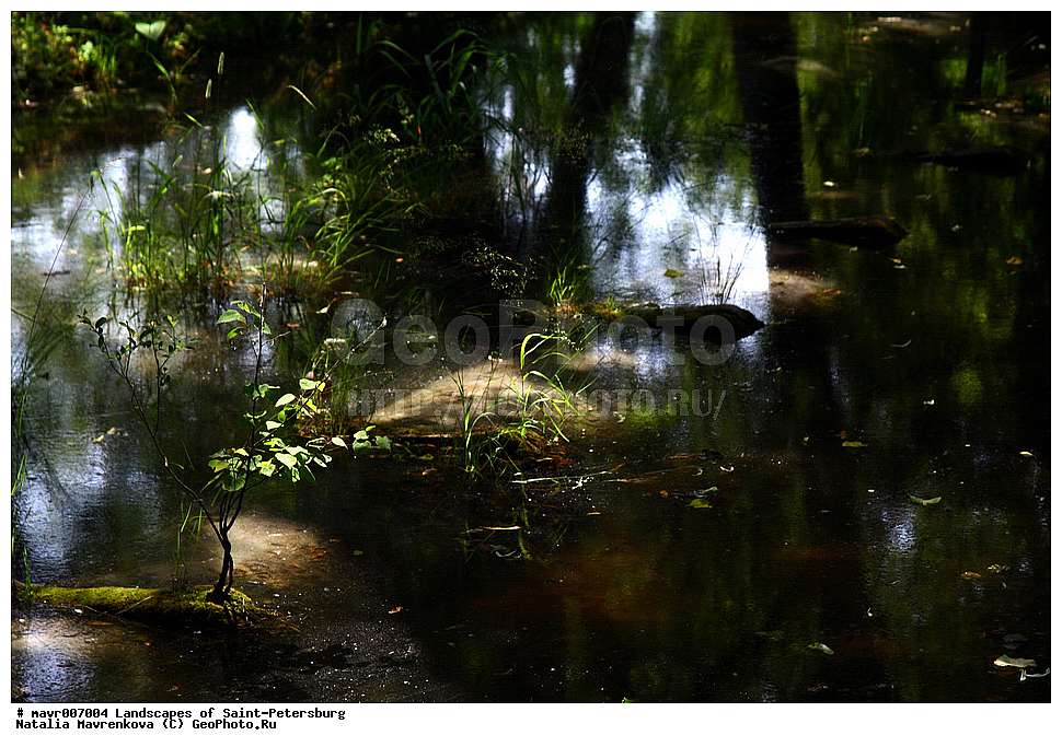 �����-���������