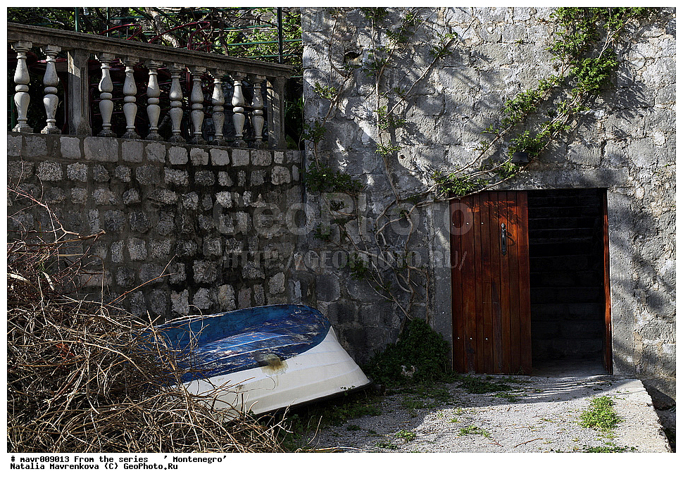  ��������, ����������, ����������� ����, ����, �������, ������, ����, ����, �����������, ������, ������, �����, ��� �� ����