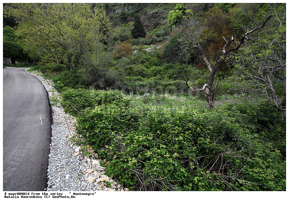  ��������,����������, ����������� ����, ����, �������, ������, ����, ����, �����������, ������, ������, ������, ����, �������, ���, ����