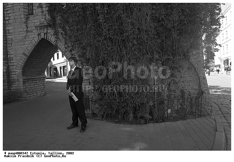 ������, �������, �������� ���������