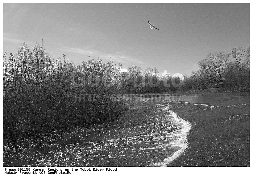 B&W, ������, �������, �����, ����, �����, ���������� �������, ������