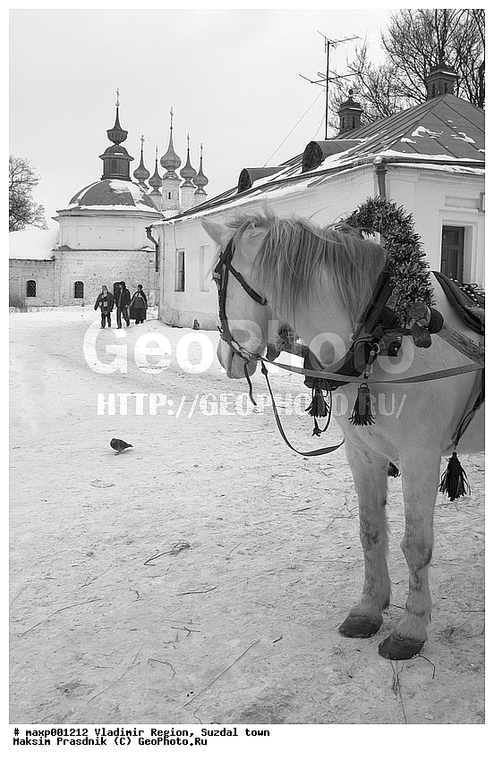 ������������ �������, �������