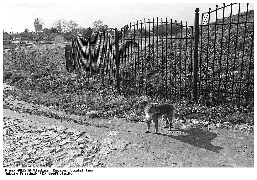 2004, ������������ �������, �������